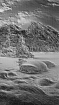 Skamielina
