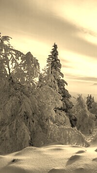 Szary + Sepia