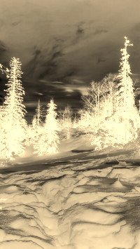 Sepia + Negatyw