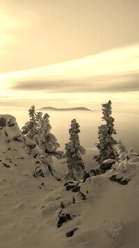 Szary + Sepia