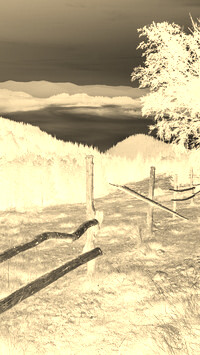 Sepia + Negatyw