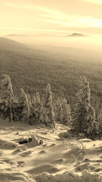 Sepia