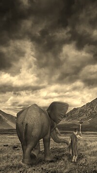 Szary + Sepia