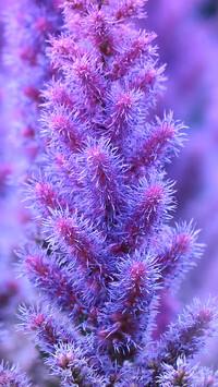 Oryginalny obrazek