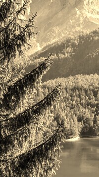 Szary + Sepia