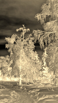 Sepia + Negatyw
