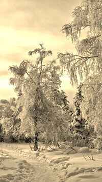 Sepia