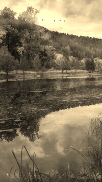 Sepia
