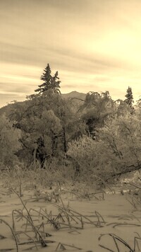 Sepia