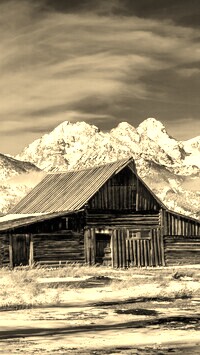 Szary + Sepia
