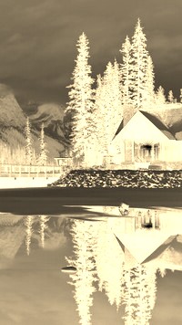 Sepia + Negatyw