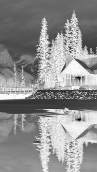 Szary + Negatyw