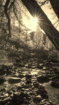 Szary + Sepia