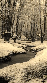 Sepia