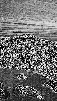 Skamielina