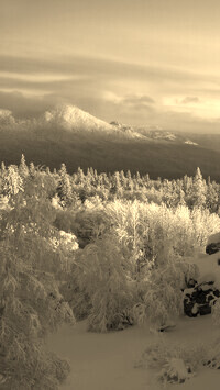Szary + Sepia