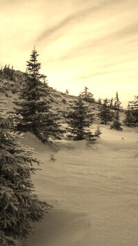 Szary + Sepia