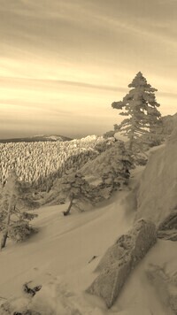 Sepia