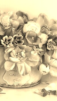 Szary + Sepia