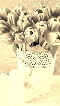 Szary + Sepia