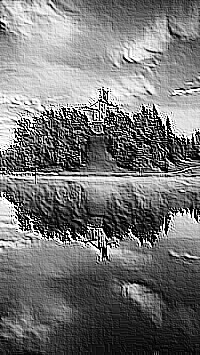 Skamielina
