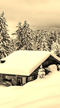 Szary + Sepia