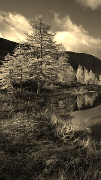 Szary + Sepia