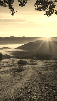 Sepia