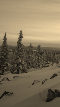 Szary + Sepia