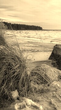 Szary + Sepia