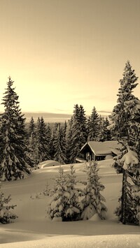 Sepia
