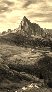 Szary + Sepia