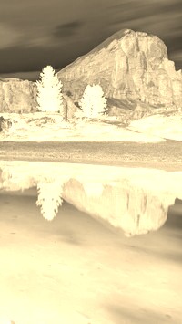 Sepia + Negatyw
