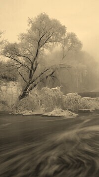 Sepia
