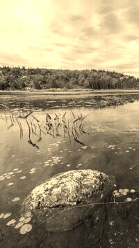 Szary + Sepia