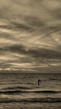 Szary + Sepia