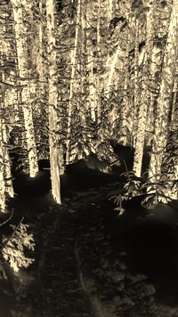Sepia + Negatyw
