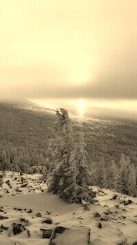 Szary + Sepia