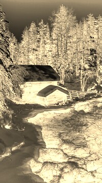 Sepia + Negatyw