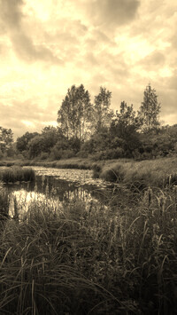 Szary + Sepia