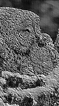 Skamielina