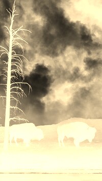 Sepia + Negatyw