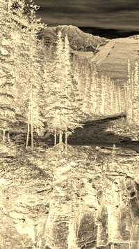 Sepia + Negatyw