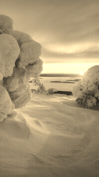 Szary + Sepia