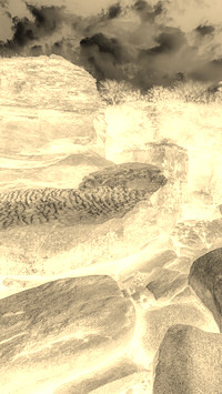 Sepia + Negatyw