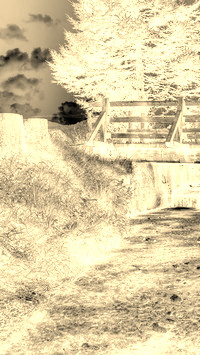 Sepia + Negatyw