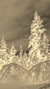 Sepia + Negatyw