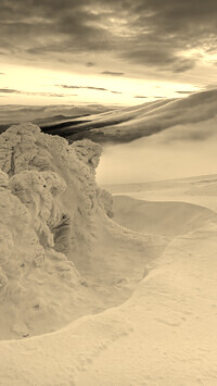 Szary + Sepia