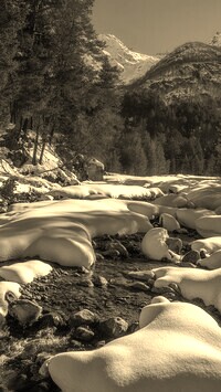 Szary + Sepia