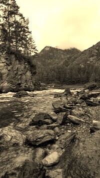 Sepia